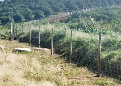 Weld Mesh Fencing
