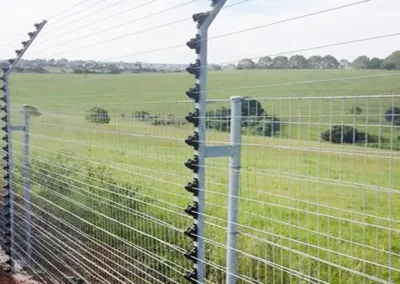 Electric Fencing Alongside Weldmesh Fencing