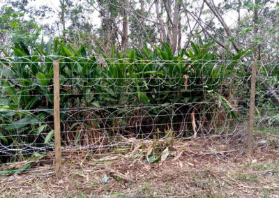 Bonnox Fencing