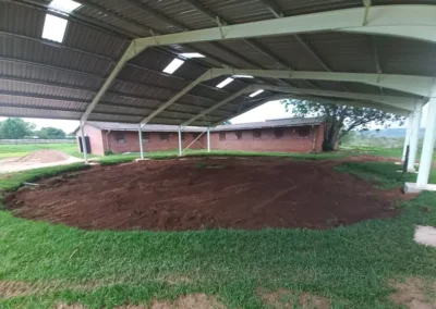 Steel Shed Structure for Horse Walker