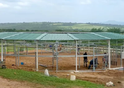 Steel Horse Walker Shelter Structure